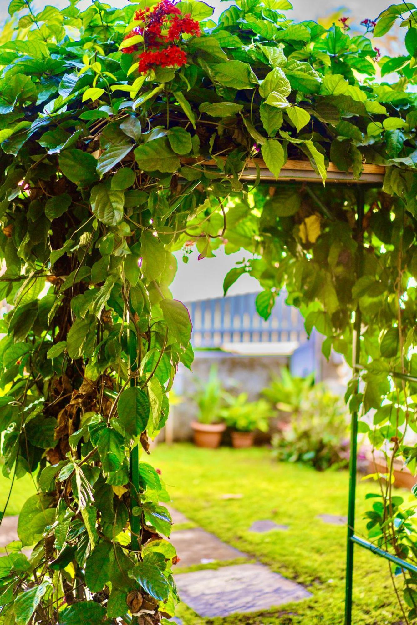 Cozy Home ริวิแยร์นัวร์ ภายนอก รูปภาพ